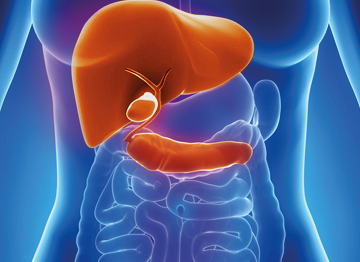 Hepatobiliary, Pancreatic and Liver Transplantation Surgery