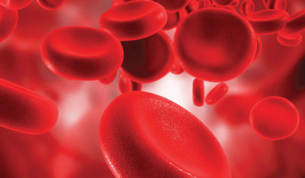 Hematology Department