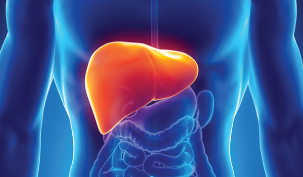 Hepatology Department